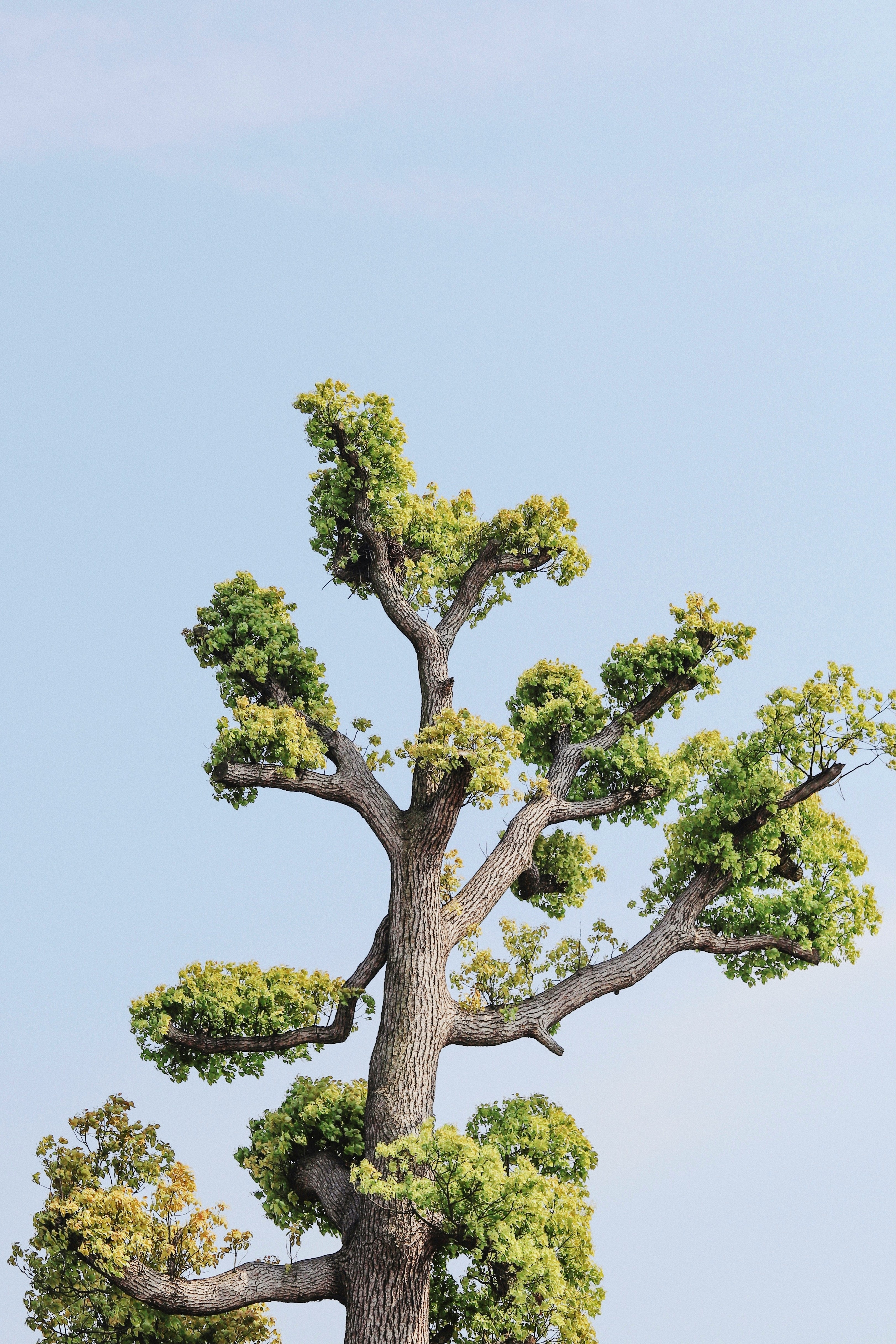 raychan-iAlerP-CnBY-unsplash.jpg